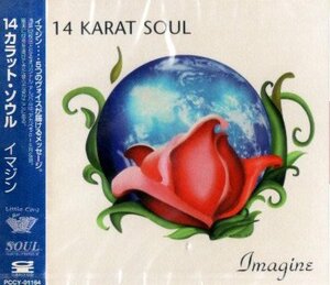 ■ 14 Carat Seoul (14 Karat Soul) [Imagine] Новая неоткрытая служба решений CD