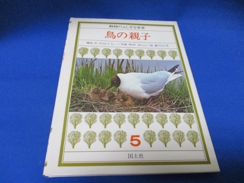 動物のふしぎな世界5☆鳥の親子☆国土社／1986年／古書