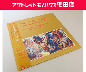 12インチ シングルレコード Devid Slyvian / デヴィット・シルヴィアン シャーマンの言葉 14VA 9004 国内盤 札幌市 屯田店