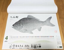 SHIMANO シマノ 魚拓カレンダー カレンダー 2024年 印刷物 _画像3