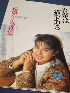桜樹ルイ　NUDE写真集　1991年初版本　「吾輩は猫である」　当時物　LEGEND女優
