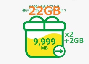 [即決 匿名 通知] mineo マイネオ パケットギフト 約22GB（9,999MB x2 + 2GB）♪