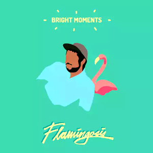 新品 LP ★ ルパン三世ネタ Casanova収録 Flamingosis - Bright Moments ★ 大野雄二 muro nujabes 和ジャズ 和モノ City Pop シティポップ