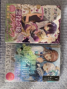 異世界で姉に名前を奪われました　3　◆悪役令嬢に転生したと思ったら、シンデレラの義姉でした～シンデレラオタクの異世界転生～　3 