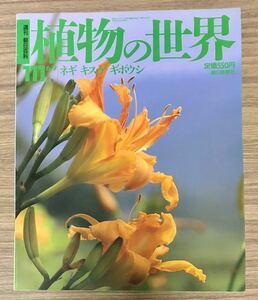 植物の世界 111 ネギ、キスゲ、ギボウシ　週刊朝日百科　朝日新聞社