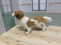 コーイケルホンディエ羊毛フェルト犬ハンドメイドdog_画像8