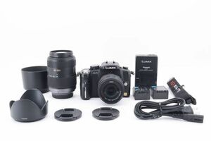 [Rank:AB] Panasonic Lumix DMC-G1 14-45,45-200mm 標準,望遠レンズキット ミラーレス一眼 デジタルカメラ パナソニック ルミックス #8311