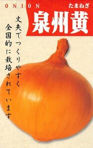 送料無料　泉州黄玉葱　１００粒