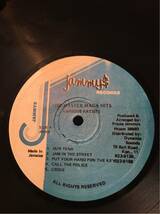 LJAMMYS RECORDS - 1985 master mega hits sleng teng extravaganza / various_画像4