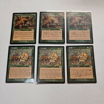 【１円スタート】 MTG　マジックザギャザリングまとめ売り　旧枠　レア　緑⑯_画像6