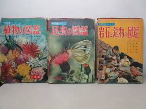 小学館の学習図鑑シリーズ　3冊セット　植物　昆虫　岩石鉱物 棚い