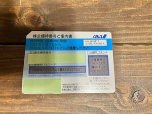 ANA 株主優待券 2024年5月31日搭乗まで有効 国内 航空券 飛行機 全日空