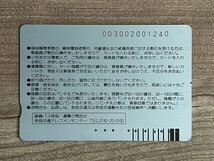 使用済　奈良交通バスカード　関西国際空港リムジンバス　３４００円分_画像2