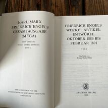 Marx Engels Gesamtausgabe MEGA 第1部 31巻 洋書 マルクス エンゲルス ゲザムトアウスガーベ_画像8