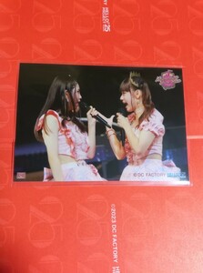 集合20番★コレクションライブ生写真part-2★モーニング娘。'23秋ツアー★横山玲奈・櫻井梨央