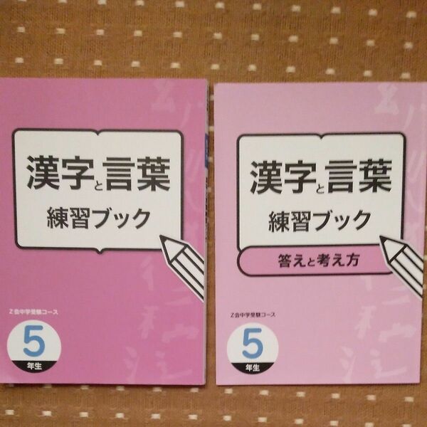 Z会　漢字ドリル　小学5年