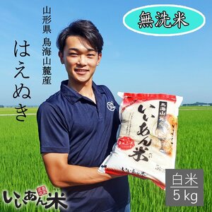 山形県庄内産　『はえぬき』　無洗米５ｋｇ　慣行栽培米　いいあん米　令和５年産　産地直送　送料無料！！　米　お米　人気