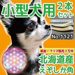 ■ 小型犬用 ■ 2本セット ■ 天然 無添加 北海道産 蝦夷鹿の角 ■ 犬のおもちゃ ■ 鹿角 エゾシカ ツノ 鹿の角 犬 11212