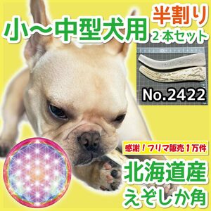 ■ 小～中型犬用 ■ 天然 北海道産 蝦夷鹿の角 ■ 半割り 2本セット ■ 犬のおもちゃ ■ 無添加 エゾシカ ツノ 鹿の角 犬 ■ 24222