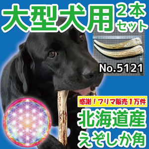 ■ 大型犬用 ■ 2本セット ■ 天然 無添加 北海道産 蝦夷鹿の角 ■ 犬のおもちゃ ■ 鹿角 エゾシカ ツノ 鹿の角 犬 51211