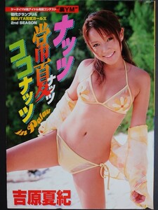 吉原夏紀　ナッツ常夏ココナッツ　ヤングマガジン　切り抜き　7ページ