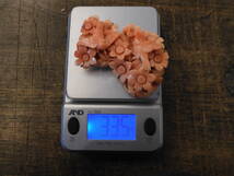 ◆ 本珊瑚 花鳥図彫刻 帯留め 約33.5g / 珊瑚 サンゴ かんざし 簪 緒締め 玉 根付_画像10