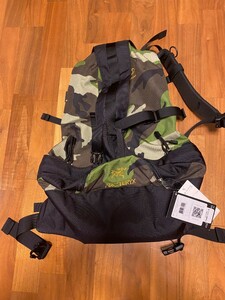 未使用タグ付き　ARC'TERYX×BEAMS セブリン バックパック リュック SEBRING BACKPACK