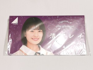 乃木坂46 清宮レイ 個別フォトアルバム choose 3or4 goods 真夏のドリームくじ 生写真アルバム