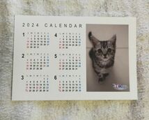 ♭◆カレンダー◆ネコ＆イヌ　カード型(ポストカードサイズ)　2024年版_画像2