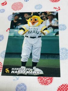  Calbee Professional Baseball chip s card memorial Fukuoka SoftBank Hawks Harry Hawk 