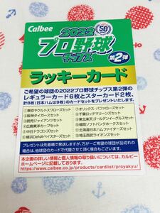 カルビー プロ野球チップスカード ラッキーカード 2022