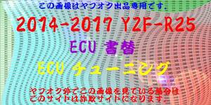 YZF-R25 MT-25 ECU書換 ECUチューニング インジェクションチューニング