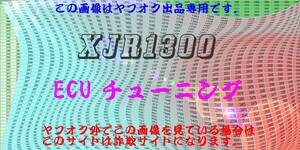 XJR1300 ECU書換 ECUチューニング インジェクションチューニング