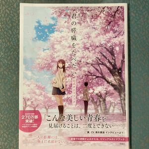 君の膵臓をたべたい 住野よる 入場者特典 劇場アニメ 父 書き下ろし 来場者 映画 父と追憶の誰かに　公式ガイドブック