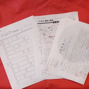 組分けテスト対策 社会 四谷大塚 早稲田アカデミー 非売品 予習シリーズ 冬期講習 徳川将軍 自宅学習 中学受験 参考書 激安 本