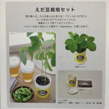 育てる枝豆　えだ豆栽培キット　オリジナル美濃焼陶製ポット　未使用新品_画像4