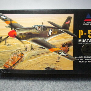 ★1/48 ACCURATE MINIATURES :    P-51 MUSTANG★の画像1