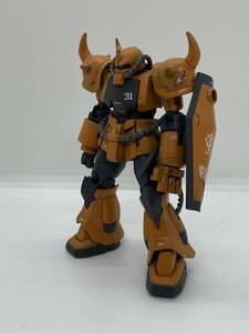 HG プロトタイプグフ　全塗装完成品