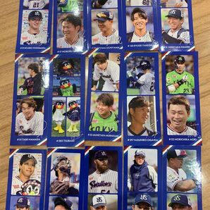 ヤクルトスワローズ ファン感 来場者特典ステッカー ランダム15枚(村上選手・山田哲人選手・内山選手・武岡龍世選手他15枚被りなし
