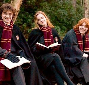 【匿名配送&補償付き】ハリーポッター グリフィンドール マフラー / Harry Potter Gryffindor designed scarf