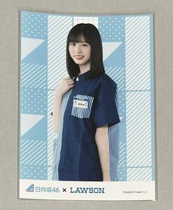 日向坂46 髙橋未来虹 LAWSON ローソン こんぷりん メンバー別ブロマイド 生写真 検)販売終了 One choice 9th制服