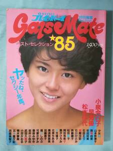 週刊プレイボーイ特別編集 Gals Mate ギャルズ・メイト ベストセレクション'85 集英社 昭和60年 小泉今日子