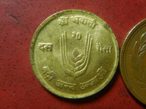 外国・／ネパール／１０パイサ黄銅貨・FAO（VS2028年）：発行枚数150万枚　23122502