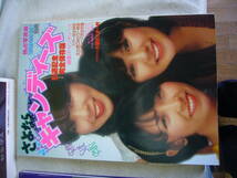 株式会社バンダイ出版事業部　他2社　いずれも昭和53年発刊　「さよならキャンディーズ」卒業アルバム　保存版　合計3冊　当時物_画像3