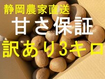 静岡農家直送　 キウイフルーツ　ヘイワード　訳あり３キロ クリスマス、お正月に　ギフト　フルーツ　濃く甘！_画像1