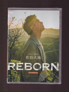 DA★新品★スクロール★REBORN/佐伯大地★4580370800265