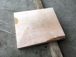  maple ( maple ) board No.20231207kae