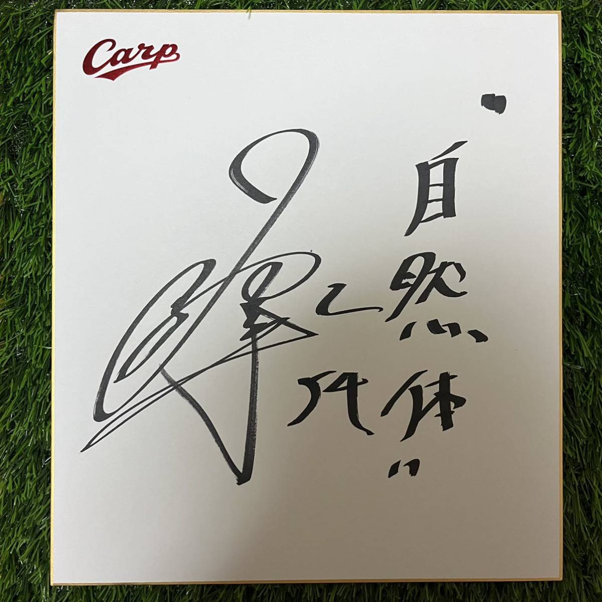 Хиросима Тойо Карп Юя Нирасава № 54 цветная бумага с автографом, бейсбол, Сувенир, Сопутствующие товары, знак