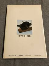 身近にあり、効きめの確かな 薬草カラー図鑑　伊沢一男（著）_画像2