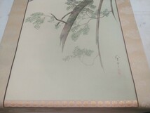 サイン有り 掛け軸【 鷲 鷹　56×210cm 】木箱付 在銘 床の間 日本 美術_画像7